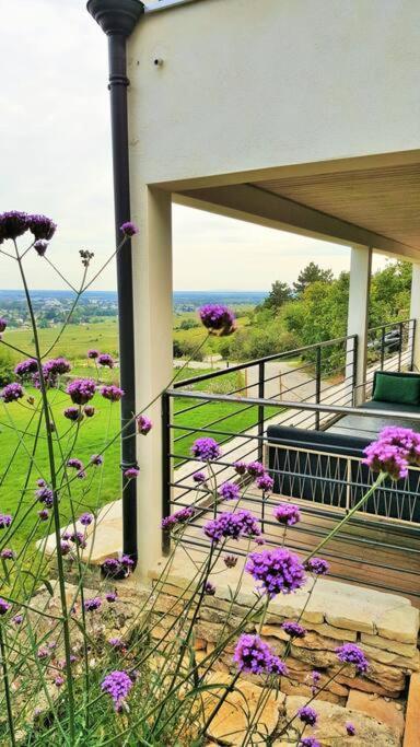 La Maison De L'Ecu : Charme Et Vue Incroyable Beaune  Exterior foto