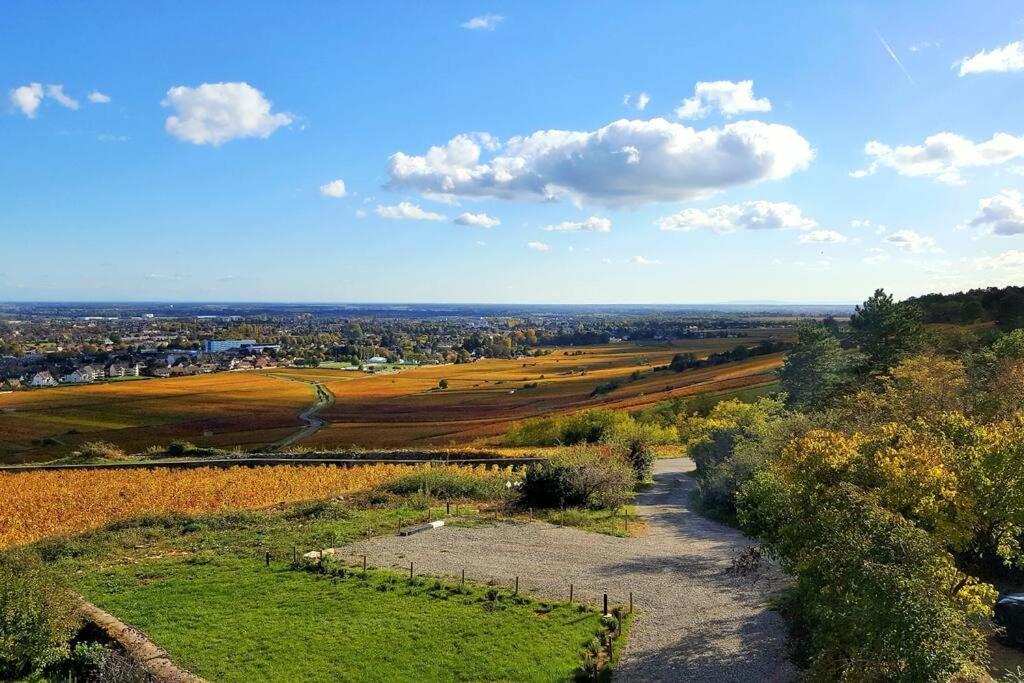 La Maison De L'Ecu : Charme Et Vue Incroyable Beaune  Exterior foto