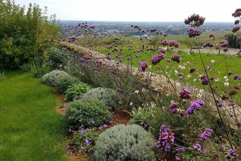 La Maison De L'Ecu : Charme Et Vue Incroyable Beaune  Exterior foto